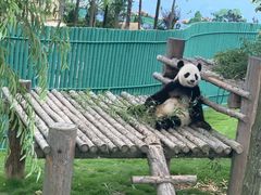 -西霞口神雕山野生动物世界