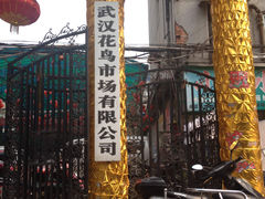 门面-武汉花鸟市场