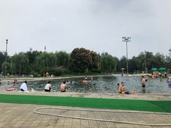 泳池-柳浪游泳场
