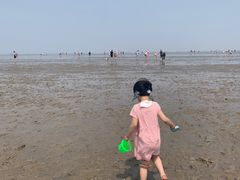 -南汇嘴观海公园