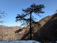-秦岭终南山世界地质公园翠华山景区