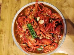 -杨氏青龙虾·羊蝎子(托乐嘉店)