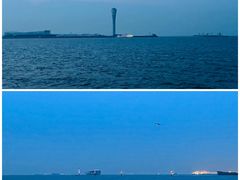 -上海吴淞炮台湾国家湿地公园