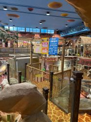 点击看大图 -卡通尼·Safari非洲探索乐园·生日会(金桥国际商业广场店)