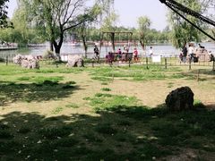 -祥源·阜阳生态乐园