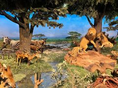 -国家自然博物馆