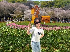 -苏州上方山国家森林公园