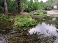 -白水寺森林公园