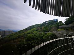 -福道