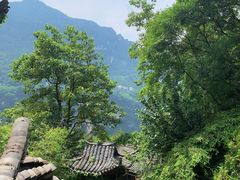 -三峡人家风景区