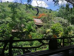 -海南槟榔谷黎苗文化旅游区