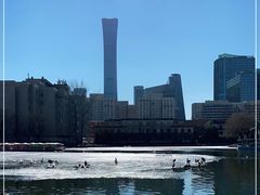 -团结湖公园