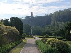 -南沙蒲洲花园