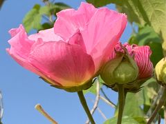 -同济大学(嘉定校区)