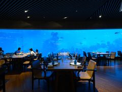 大堂-海棠湾洲际-涛·海底餐厅·美人鱼·自助餐·海底隧道
