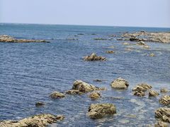 -养马岛旅游度假区