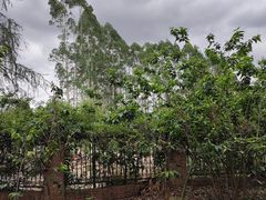 -白鹭湾湿地公园