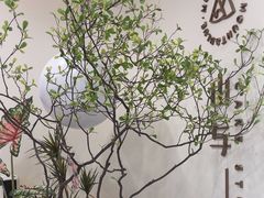 -山与蓝·轻糖鲜果蛋糕(勒泰店)