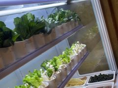 -领鲜活海鲜榴莲自助火锅(东门店)