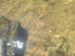 -广州白江湖森林公园