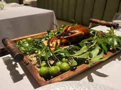 -蝶舍·MAISON PAPILLON