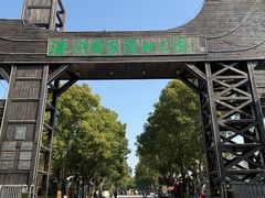 -溱湖国家湿地公园