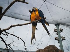 -西霞口神雕山野生动物世界