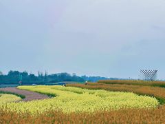 -三圣花乡旅游区