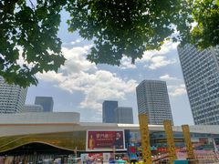 -万达广场(泰安泰山店)