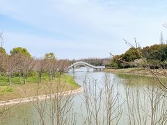 -上海海湾国家森林公园