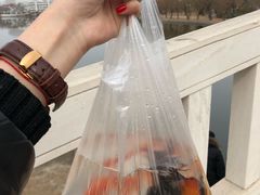 -莱西月湖公园