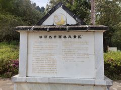 -莫里热带雨林景区