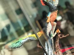 -辽宁古生物博物馆