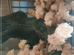 -九田家黑牛烤肉料理(太阳宫广场店)