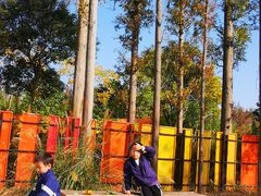 -前小桔亲子创意农场·草莓采摘·露营烧烤