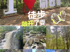 -汤旺河林海奇石景区
