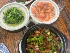 -小小饭店·休闲农庄·安吉松树林里的农家菜