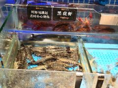 -加餐海鲜自助(宝龙一城店)