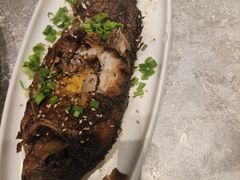 -高玛纳驴肉火烧(河间总店)