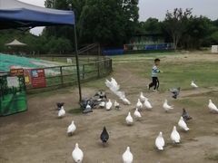 -秀丽东方