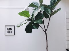 -Onirii Coffee(长乐路店)