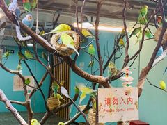 -上海大自然野生昆虫馆(东方明珠·爬宠昆虫探索中心)