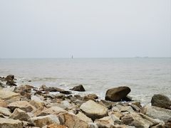 -野狸岛