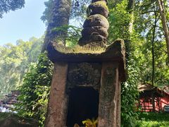 -青城山