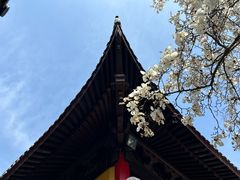 -灵谷景区