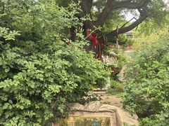 -遵化市禅林寺古银杏风景园