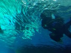 -北戴河圣蓝海洋公园