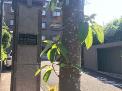 -灌篮高手动画打卡地