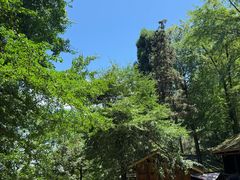 -青城山