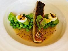 香煎冰岛银鳕鱼-蝶舍·MAISON PAPILLON